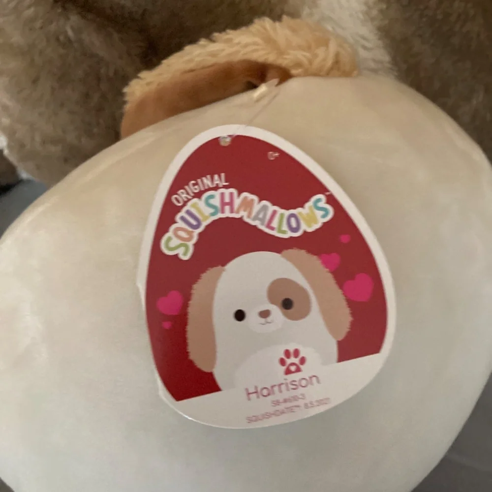 Harrison squishmallow - Picture 5 of 7